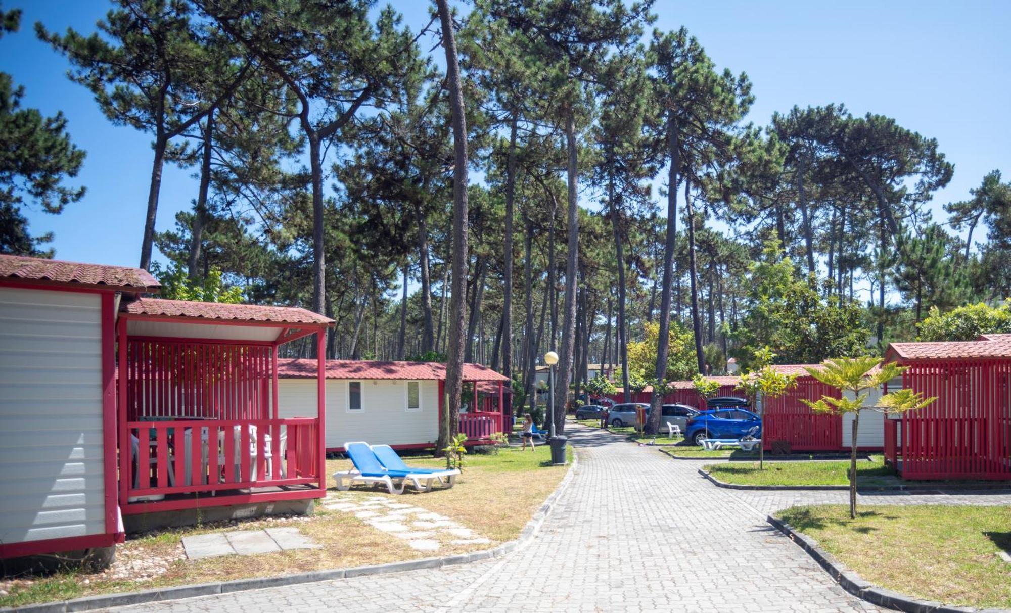 מלון Parque De Campismo Orbitur סאו פדרו דה מואל חדר תמונה
